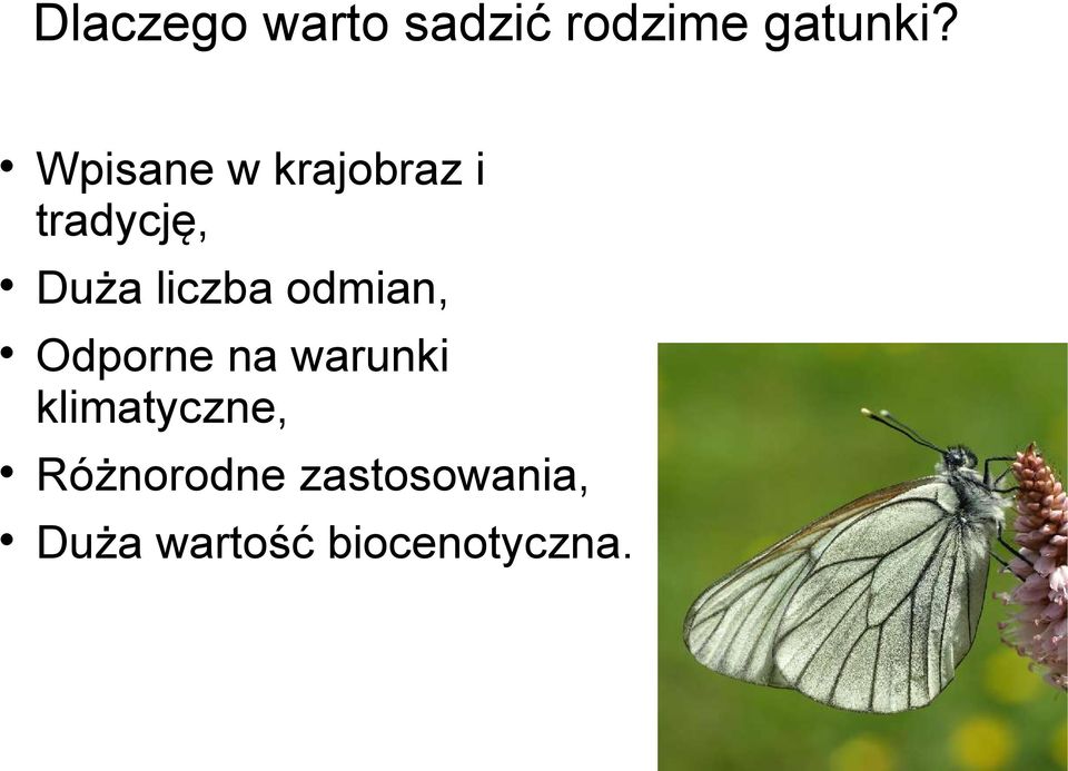 odmian, Odporne na warunki klimatyczne,