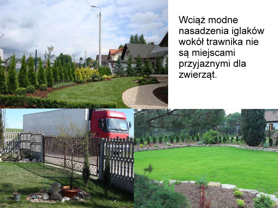 wokół trawnika nie są