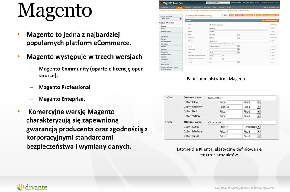 Panel administratora Magento. Magento Enteprise.