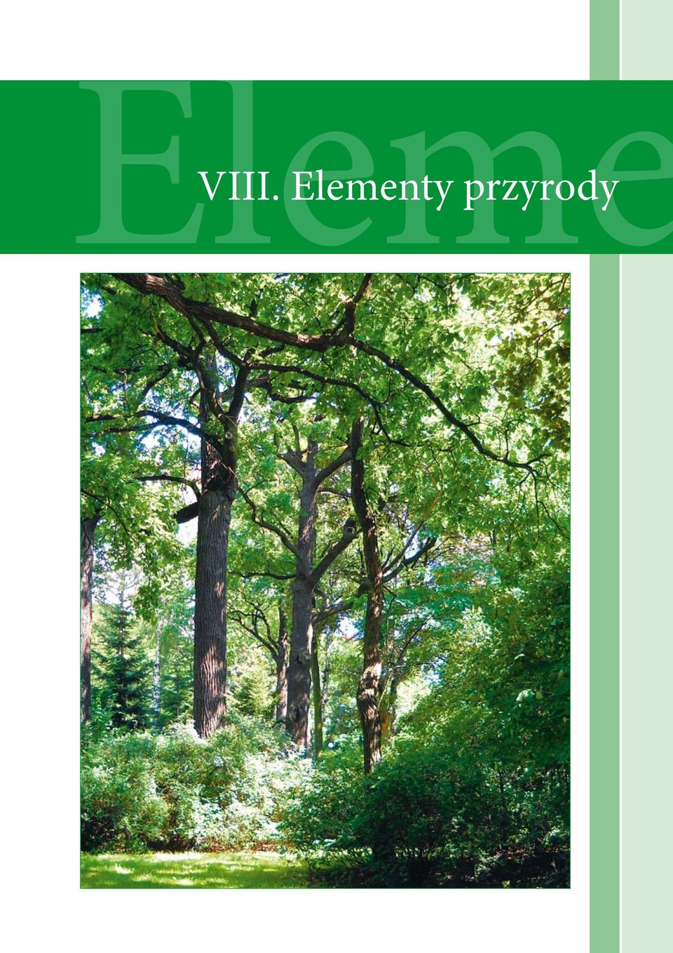 przyrody