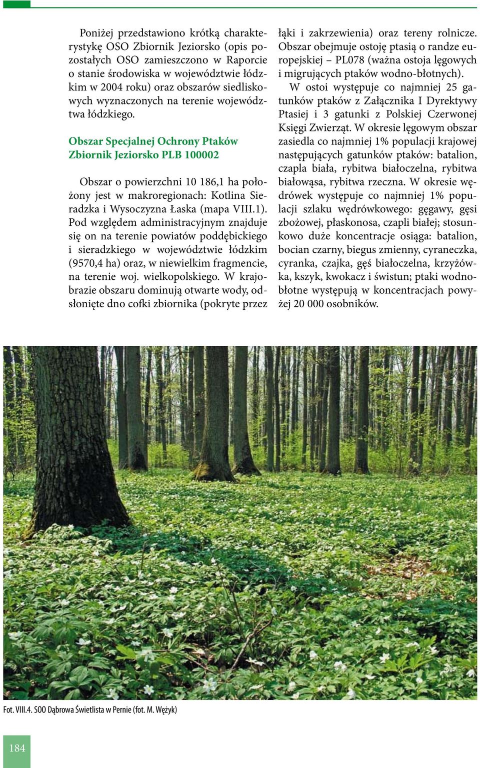 Obszar Specjalnej Ochrony Ptaków Zbiornik Jeziorsko PLB 100002 Obszar o powierzchni 10 186,1 ha położony jest w makroregionach: Kotlina Sieradzka i Wysoczyzna Łaska (mapa VIII.1).
