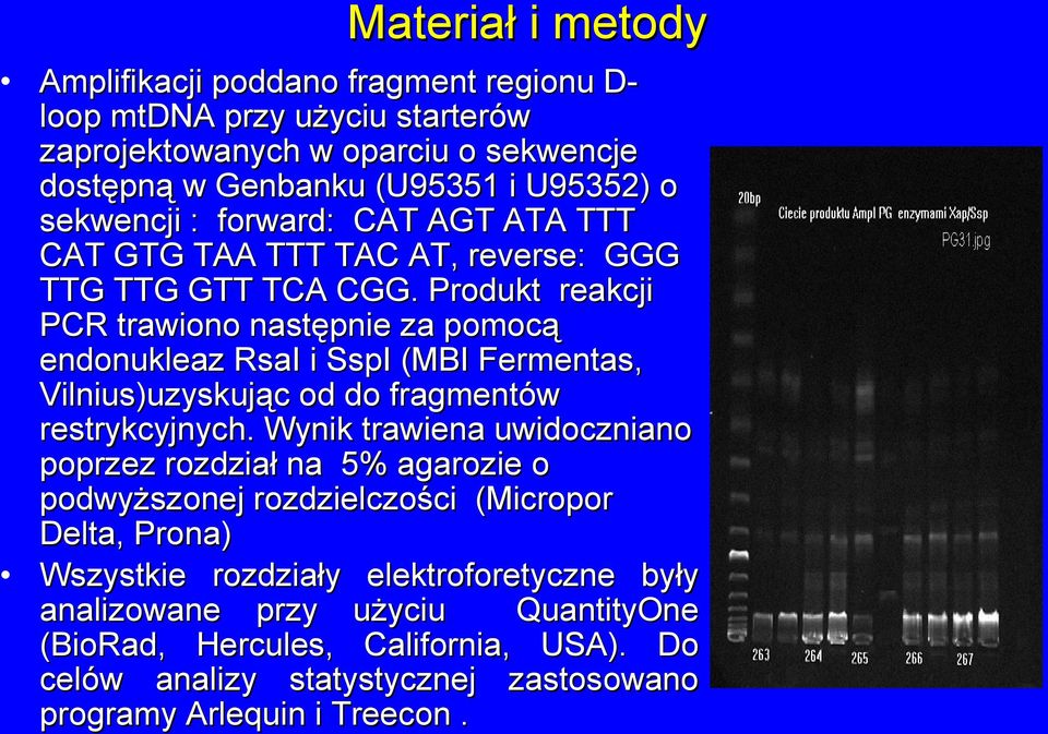 Produkt reakcji PCR trawiono następnie za pomocą endonukleaz RsaI i SspI (MBI Fermentas, Vilnius)uzyskując od do fragmentów restrykcyjnych.