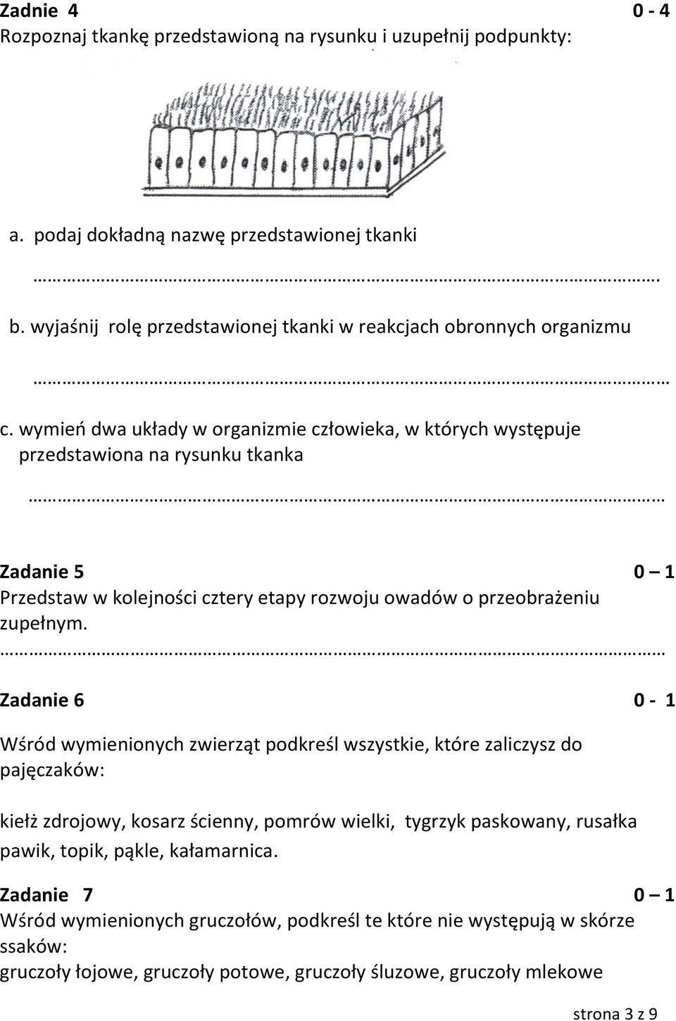 wymień dwa układy w organizmie człowieka, w których występuje przedstawiona na rysunku tkanka Zadanie 5 0 1 Przedstaw w kolejności cztery etapy rozwoju owadów o przeobrażeniu zupełnym.