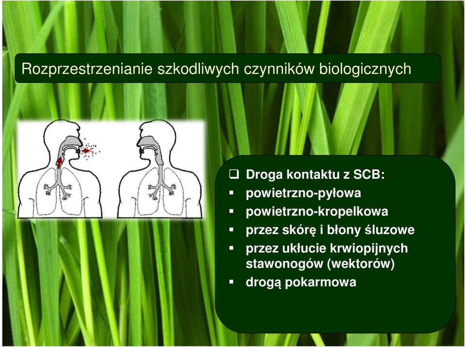 powietrzno-pyłowa powietrzno-kropelkowa przez skórę