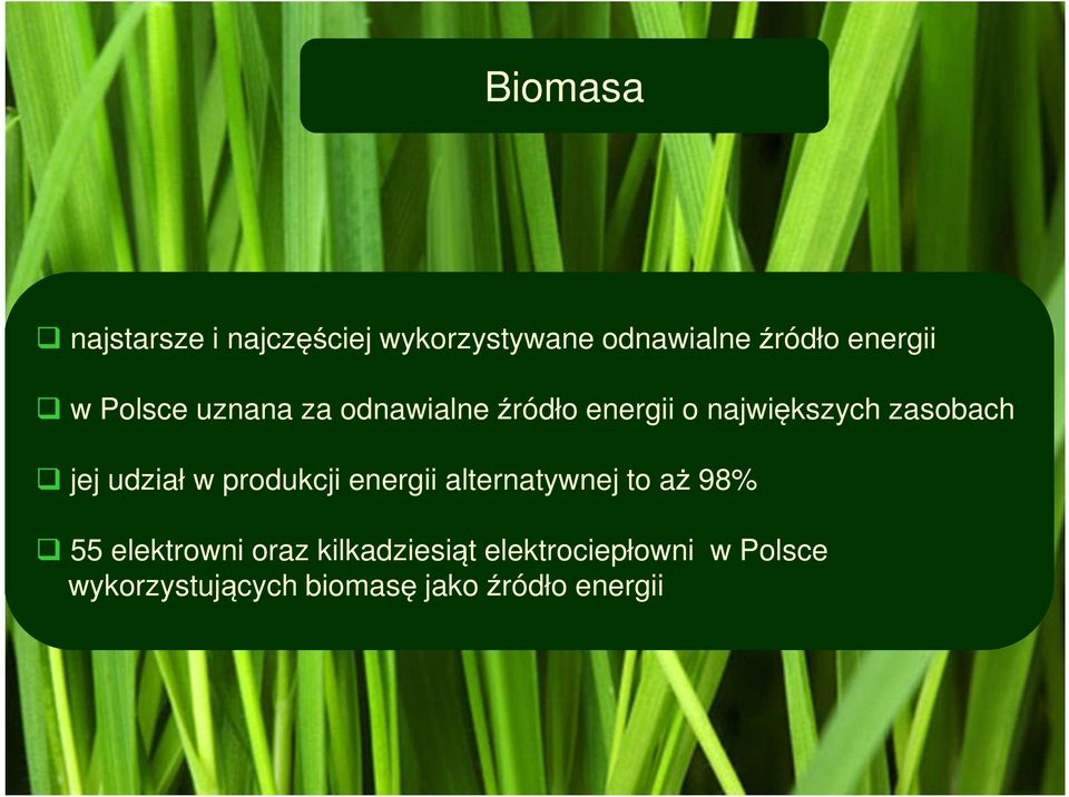 udział w produkcji energii alternatywnej to aż 98% 55 elektrowni oraz