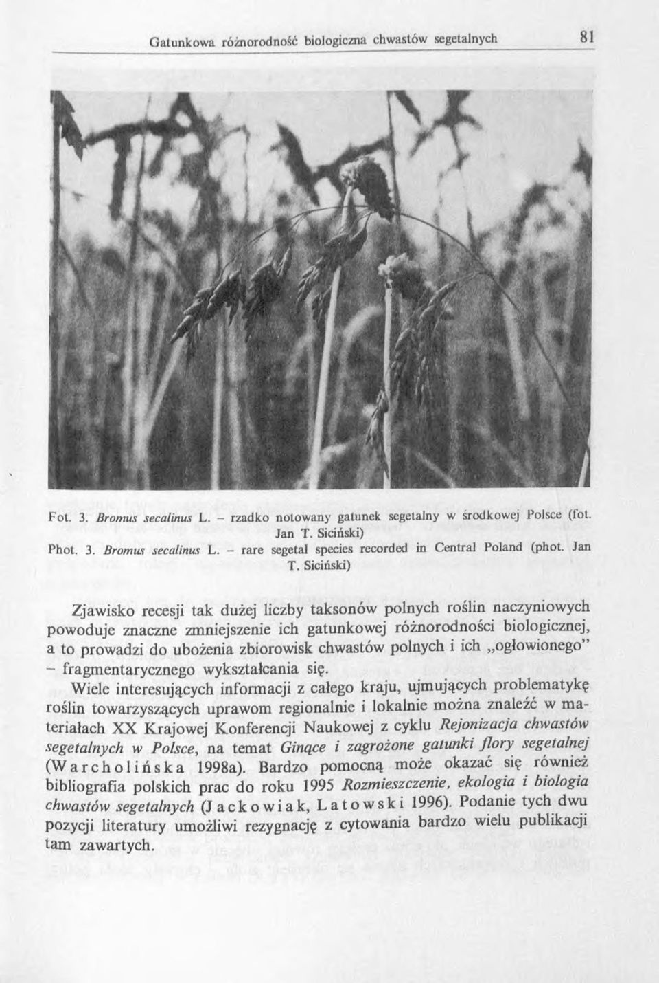 Siciński) Zjawisko recesji tak dużej liczby taksonów polnych roślin naczyniowych powoduje znaczne zmniejszenie ich gatunkowej różnorodności biologicznej, a to prowadzi do ubożenia zbiorowisk chwastów