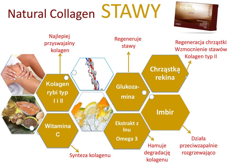 chrząstki Wzmocnienie stawów Kolagen typ II Witamina C Synteza kolagenu