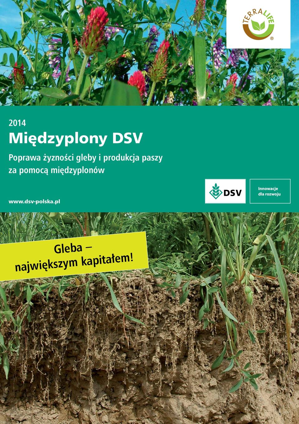 za pomocą międzyplonów www.