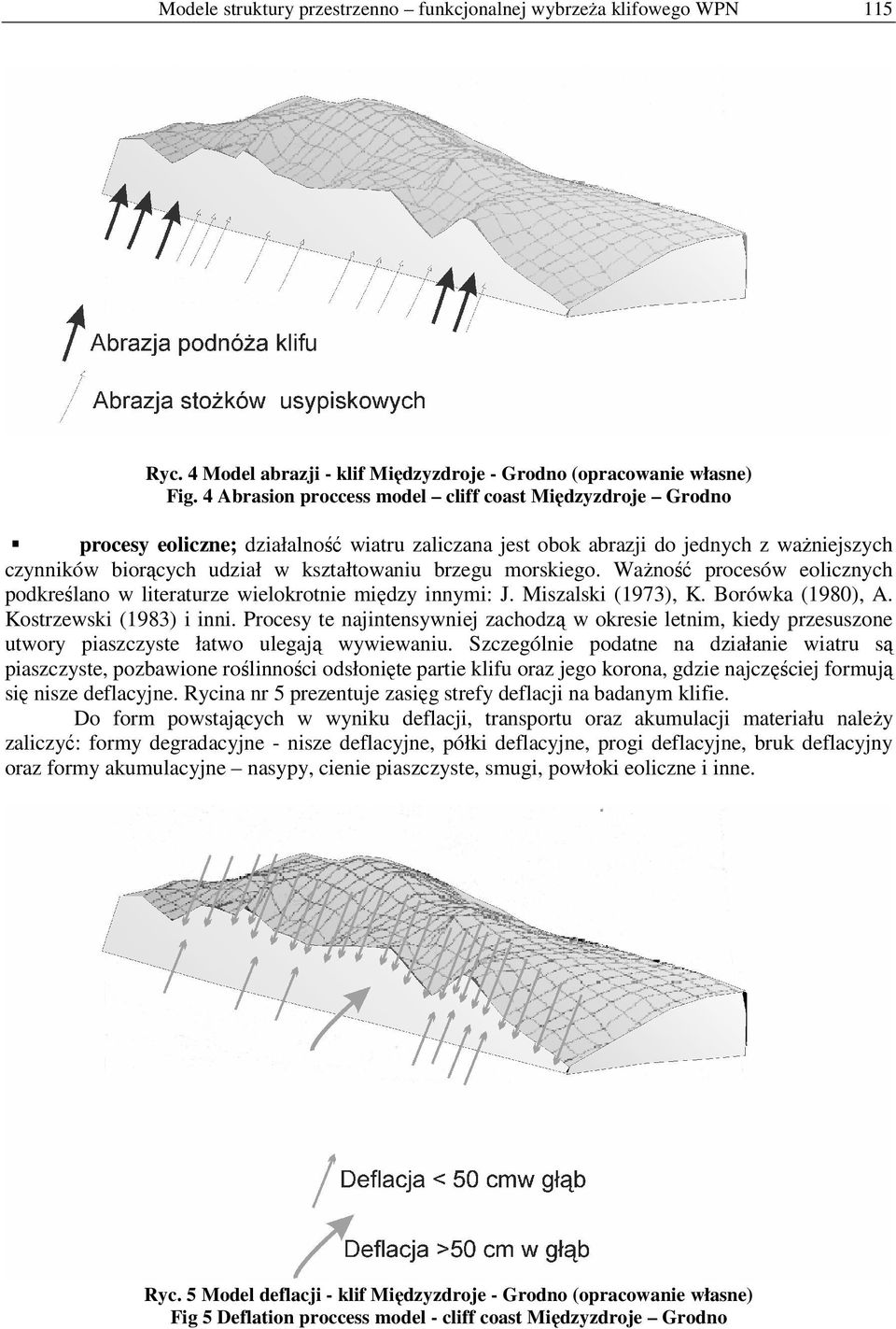 morskiego. Ważność procesów eolicznych podkreślano w literaturze wielokrotnie między innymi: J. Miszalski (1973), K. Borówka (1980), A. Kostrzewski (1983) i inni.