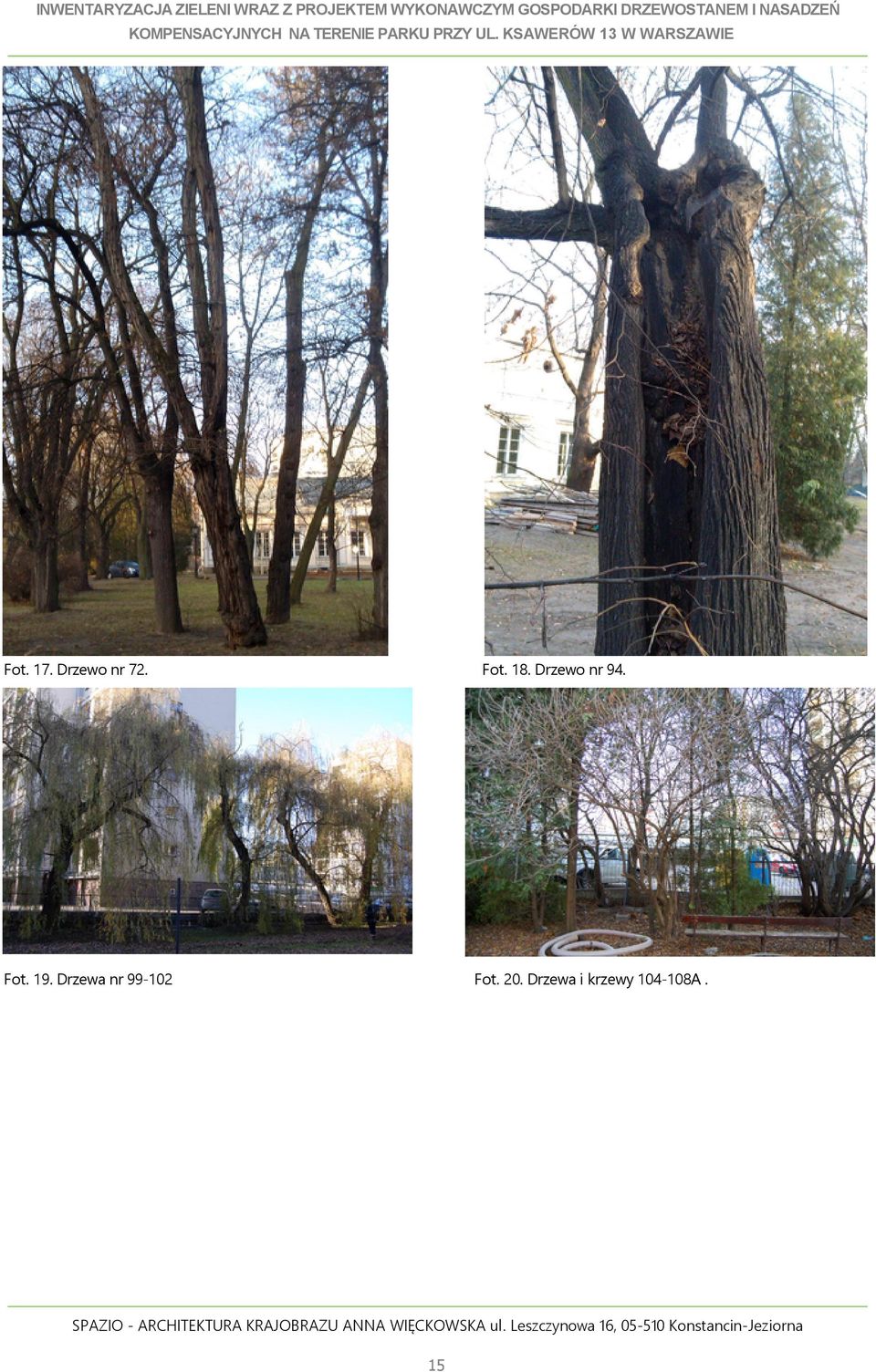 UL. KSAWERÓW 3 W WARSZAWIE Fot. 7. Drzewo nr 7. Fot. 8.
