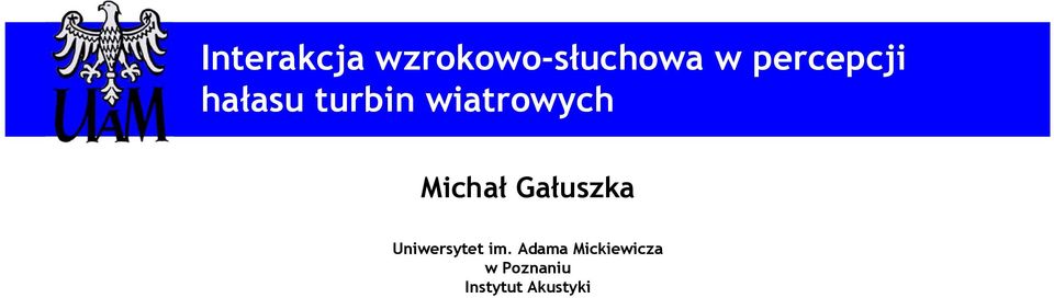 turbin wiatrowych Michał Gałuszka