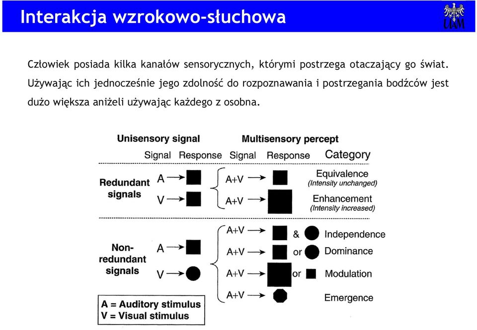 Używając ich jednocześnie jego zdolność do rozpoznawania i