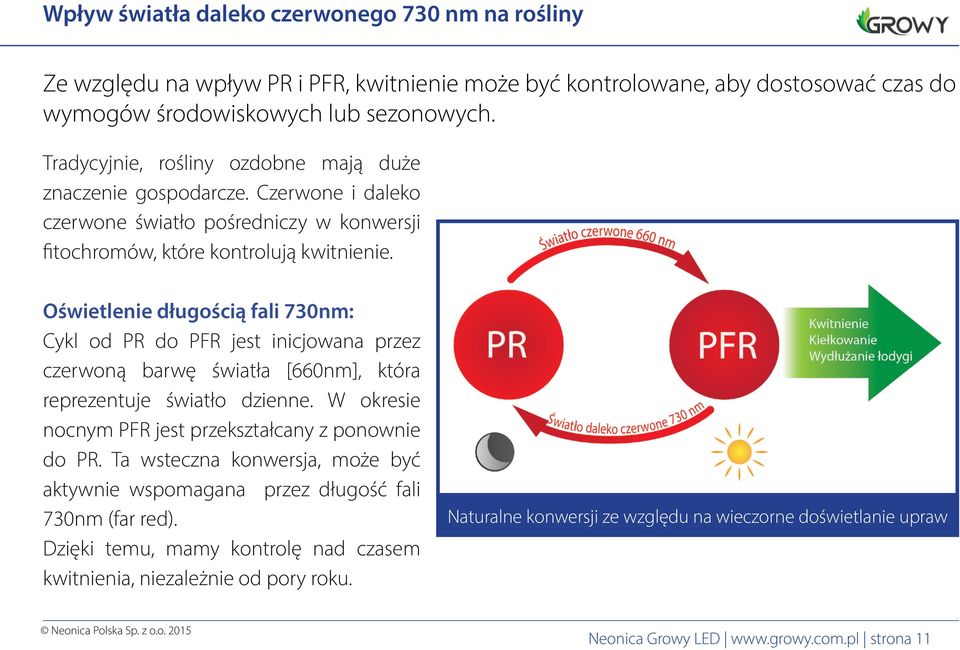 Oświetlenie długością fali 730nm: Cykl od PR do PFR jest inicjowana przez czerwoną barwę światła [660nm], która reprezentuje światło dzienne. W okresie nocnym PFR jest przekształcany z ponownie do PR.