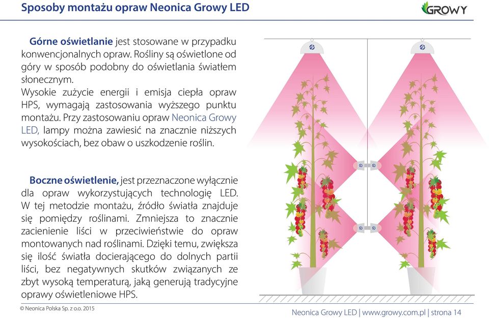 Przy zastosowaniu opraw Neonica Growy LED, lampy można zawiesić na znacznie niższych wysokościach, bez obaw o uszkodzenie roślin.