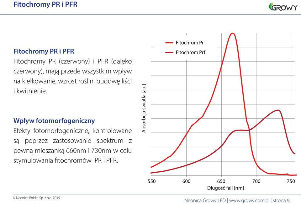Wpływ fotomorfogeniczny Efekty fotomorfogeniczne, kontrolowane są poprzez zastosowanie spektrum z