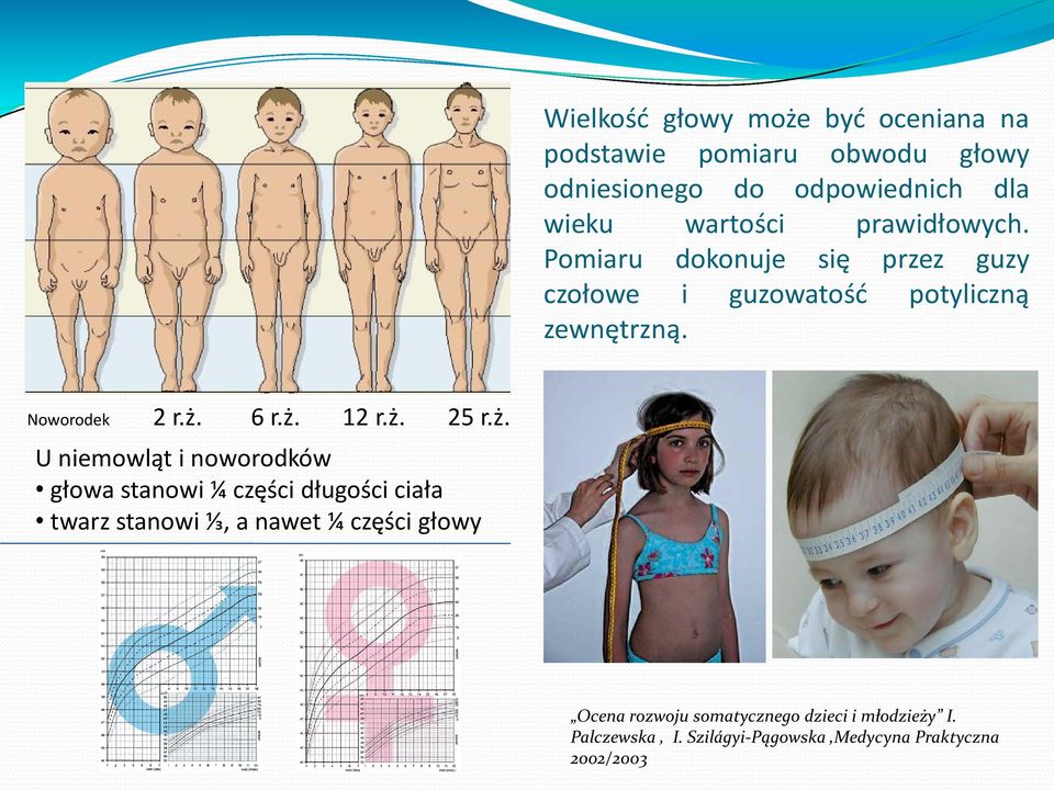 ż. 25 r.ż. U niemowląt i noworodków głowa stanowi ¼ części długości ciała twarz stanowi ⅓, a nawet ¼ części głowy