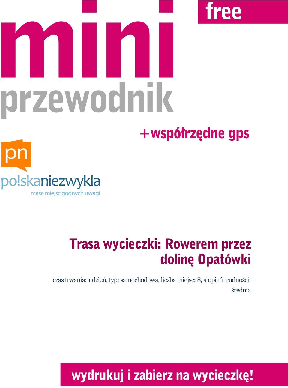 dzień, typ: samochodowa, liczba