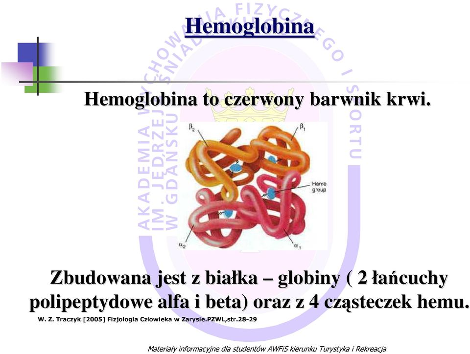 oraz z 4 cząsteczek hemu. W. Z.