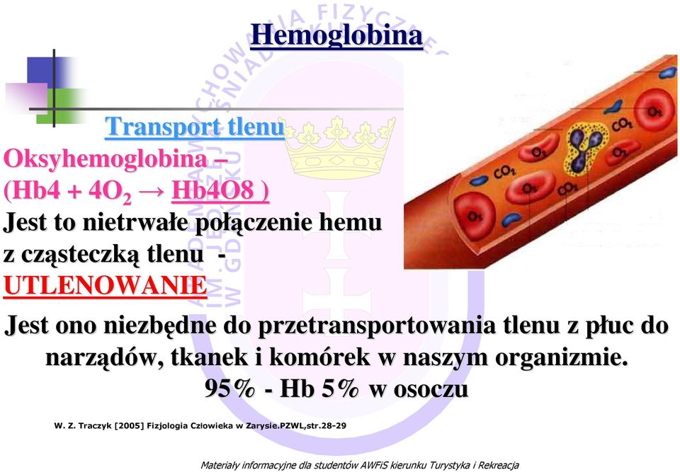 narządów, tkanek i komórek w naszym organizmie. 95% - Hb 5% w osoczu W. Z.
