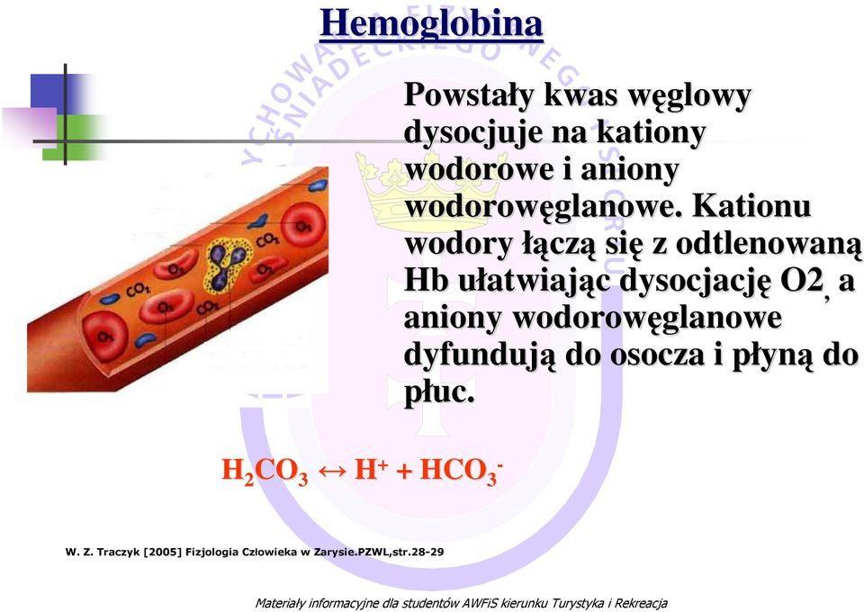 Kationu wodory łącz czą się z odtlenowaną Hb ułatwiaju atwiając c dysocjację O2, a aniony