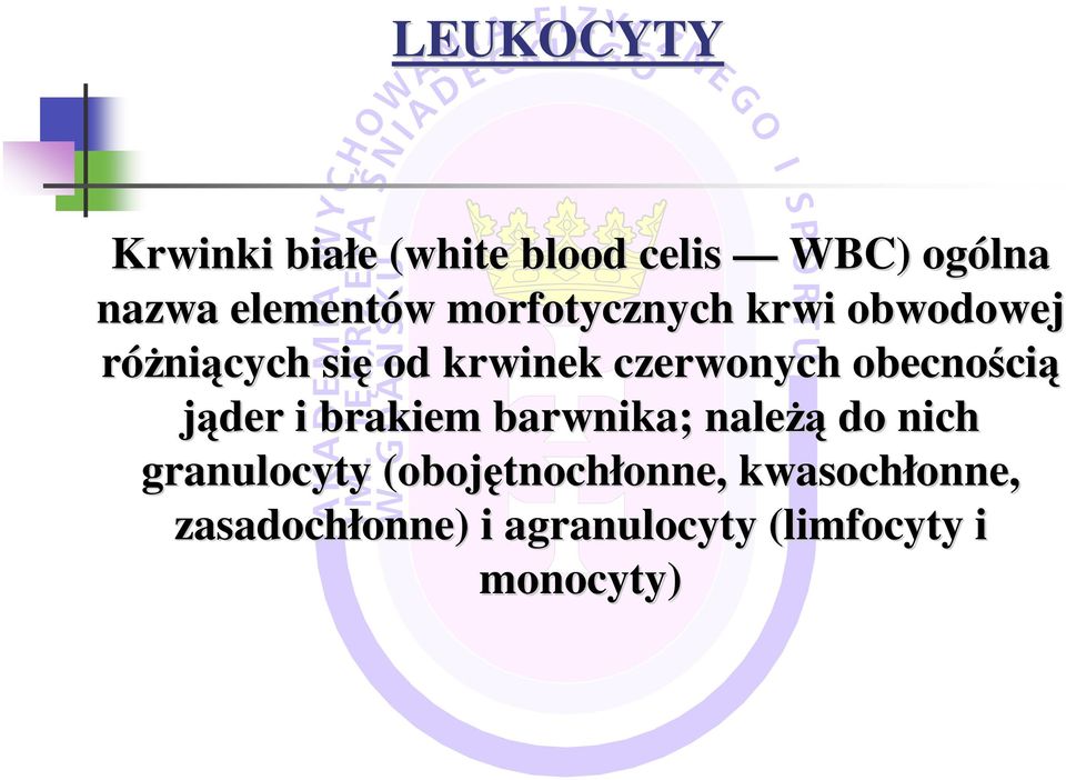 cią jąder i brakiem barwnika; naleŝą do nich granulocyty (obojętnoch