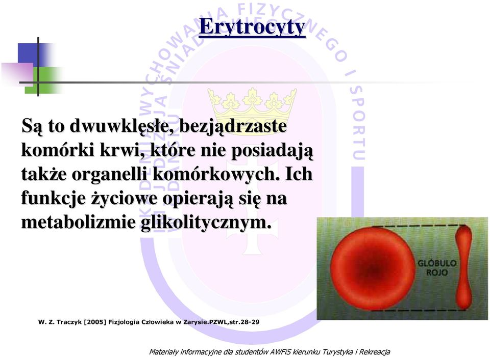 Ich funkcje Ŝyciowe opierają się na metabolizmie glikolitycznym. W. Z.