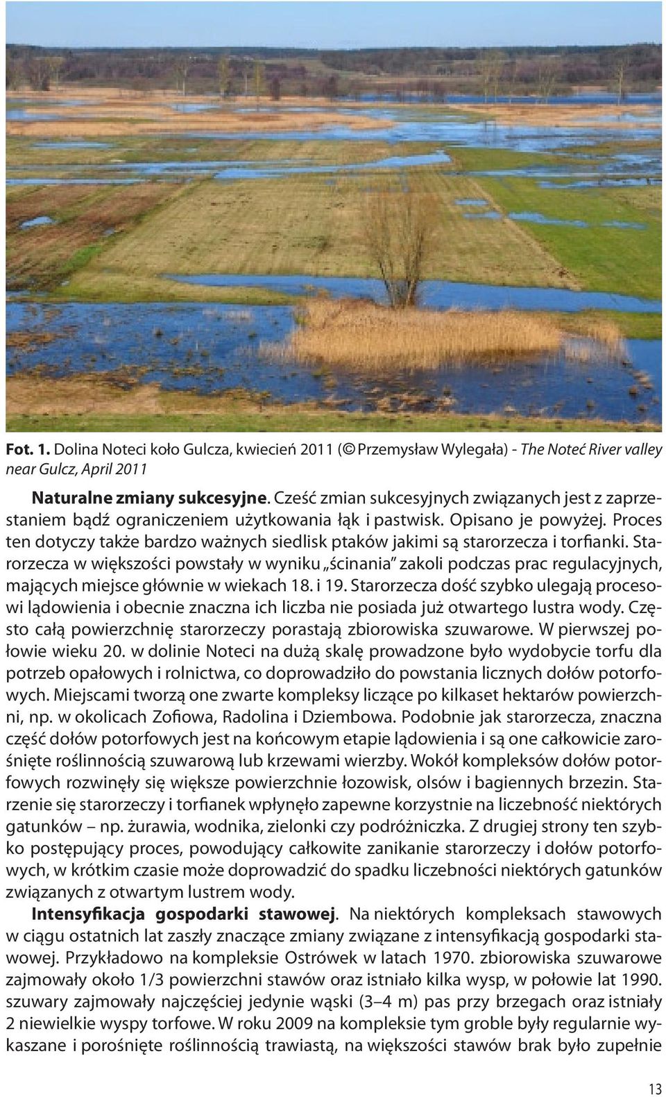 Proces ten dotyczy także bardzo ważnych siedlisk ptaków jakimi są starorzecza i torfianki.