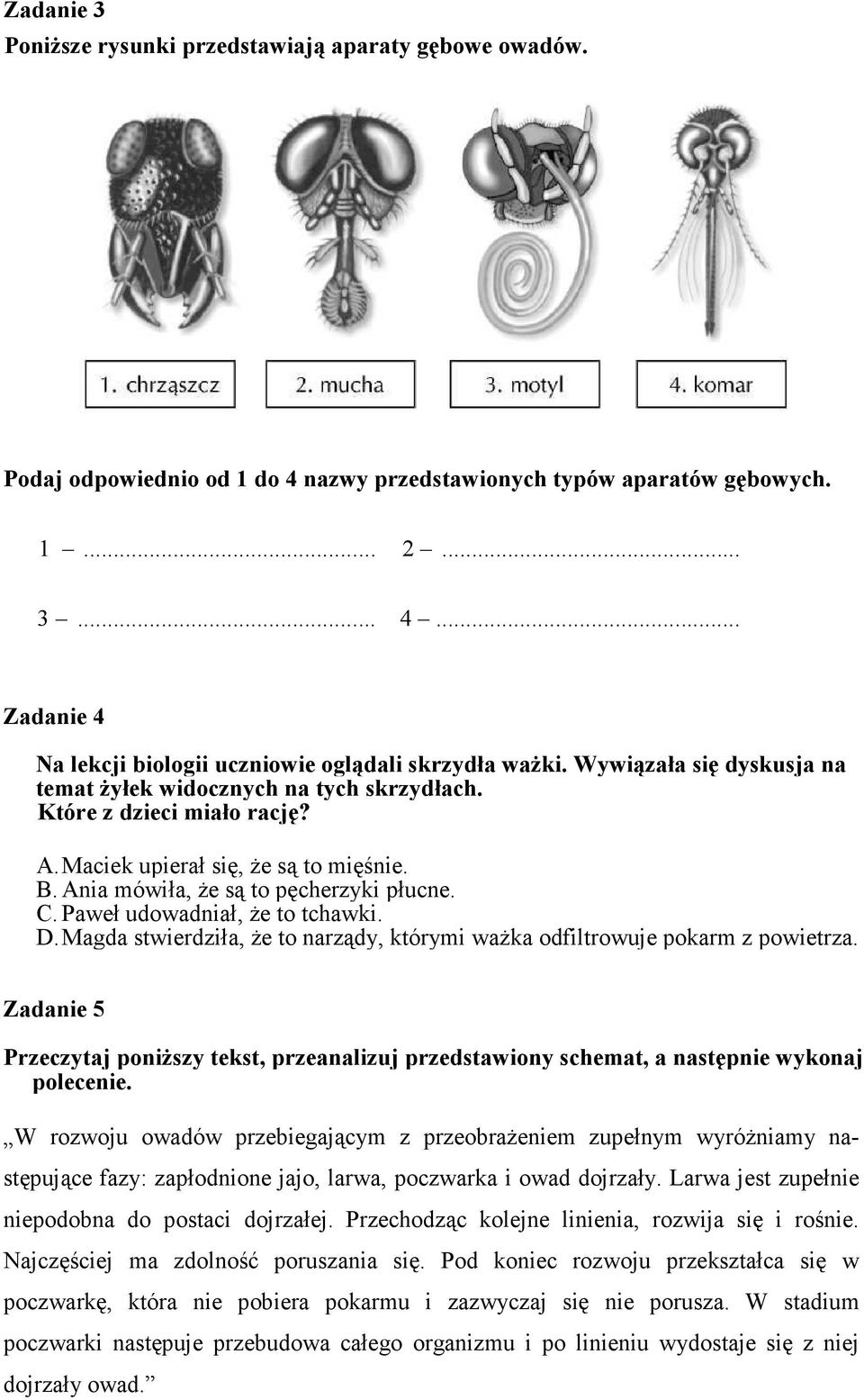 Paweł udowadniał, Ŝe to tchawki. D. Magda stwierdziła, Ŝe to narządy, którymi waŝka odfiltrowuje pokarm z powietrza.