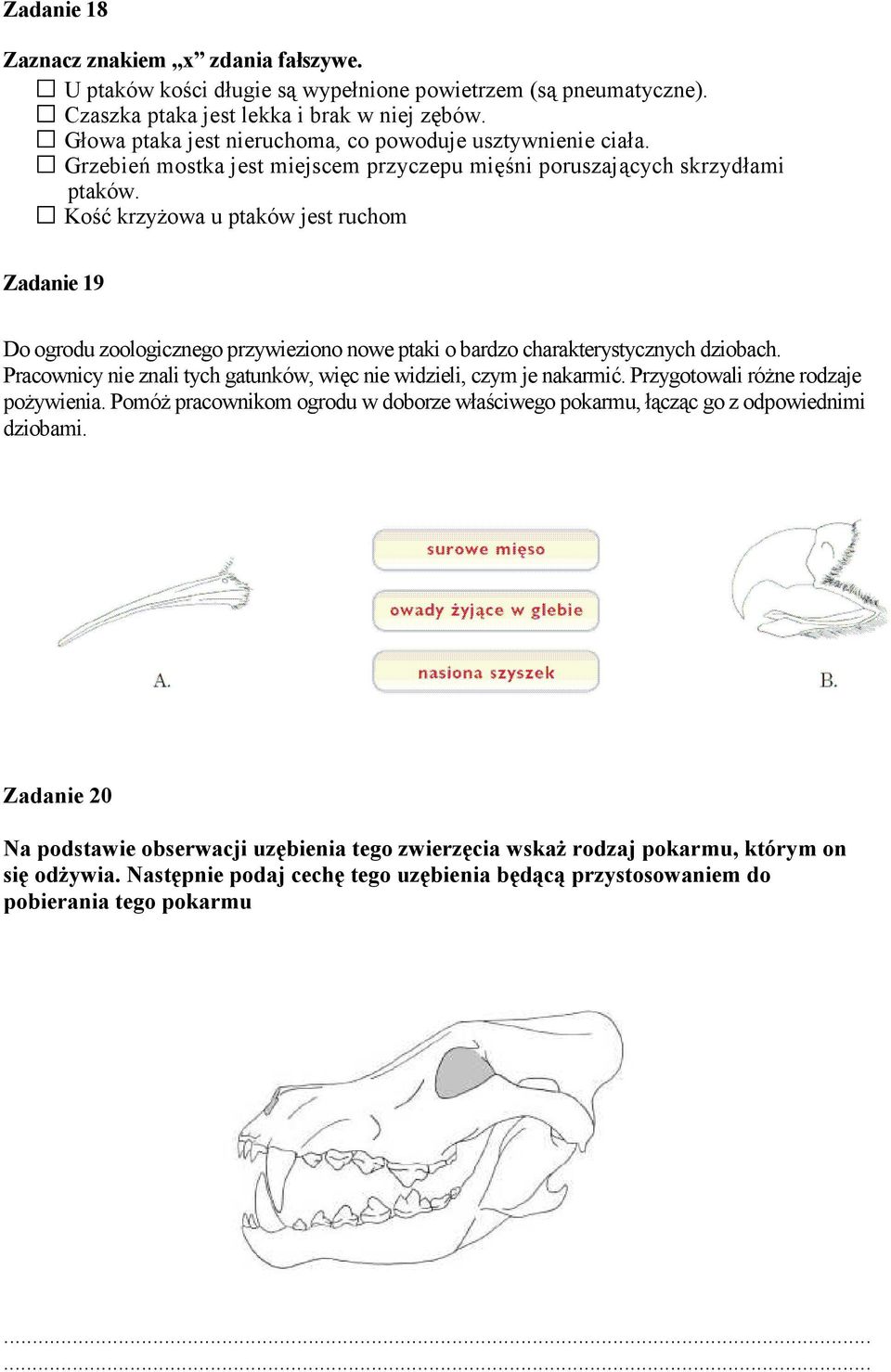 Kość krzyŝowa u ptaków jest ruchom Zadanie 19 Do ogrodu zoologicznego przywieziono nowe ptaki o bardzo charakterystycznych dziobach.