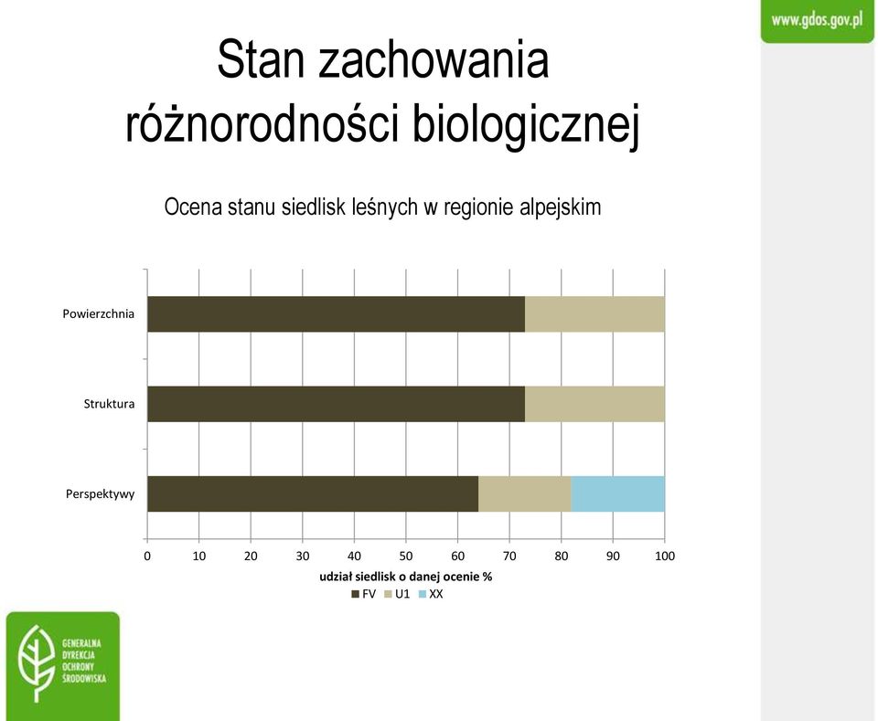 Powierzchnia Struktura Perspektywy 0 10 20 30 40