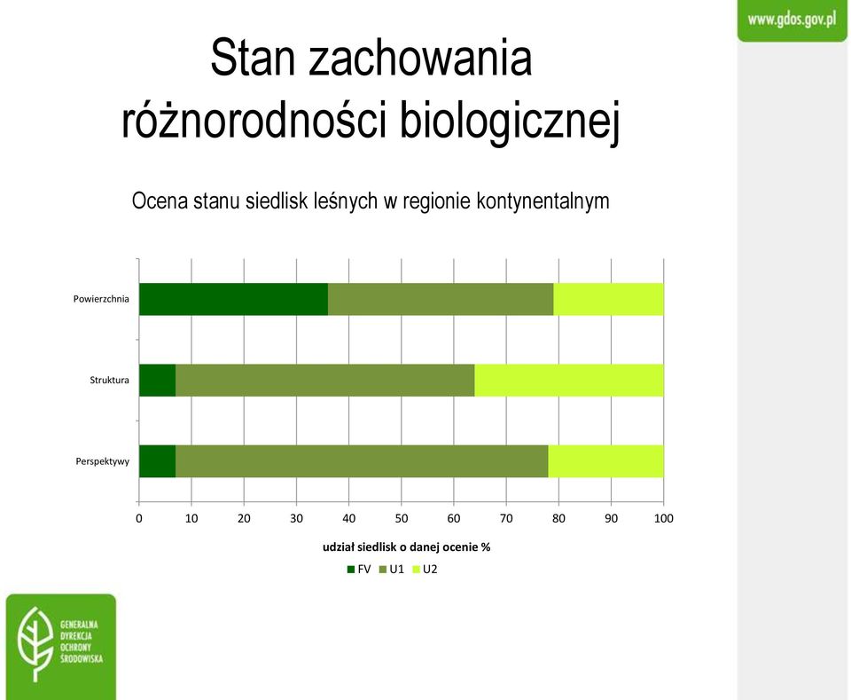 Powierzchnia Struktura Perspektywy 0 10 20 30 40 50
