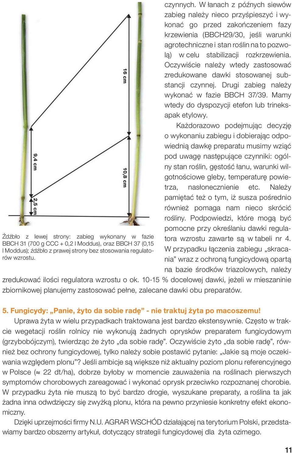 rozkrzewienia. Oczywiście należy wtedy zastosować zredukowane dawki stosowanej substancji czynnej. Drugi zabieg należy wykonać w fazie BBCH 37/39.