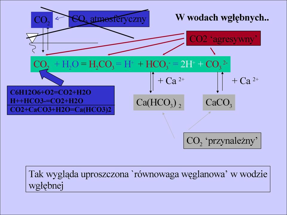 C6H12O6+O2=CO2+H2O H++HCO3-=CO2+H2O CO2+CaCO3+H2O=Ca(HCO3)2 + Ca 2+