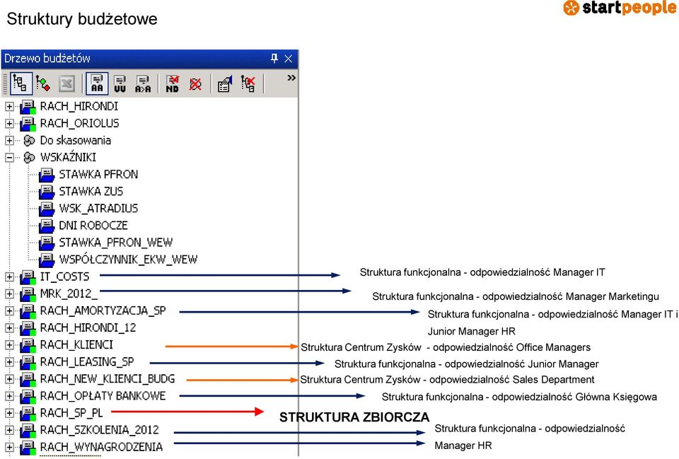 Office Managers Struktura funkcjonalna - odpowiedzialność Junior Manager Struktura Centrum Zysków - odpowiedzialność Sales