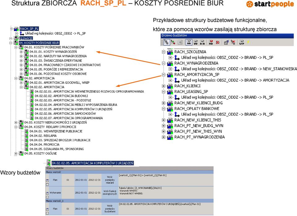 budżetowe funkcjonalne, które za pomocą