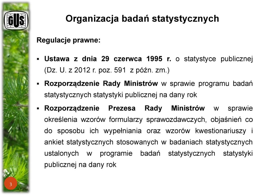 ) Rozporządzenie Rady Ministrów w sprawie programu badań statystycznych statystyki publicznej na dany rok Rozporządzenie Prezesa Rady