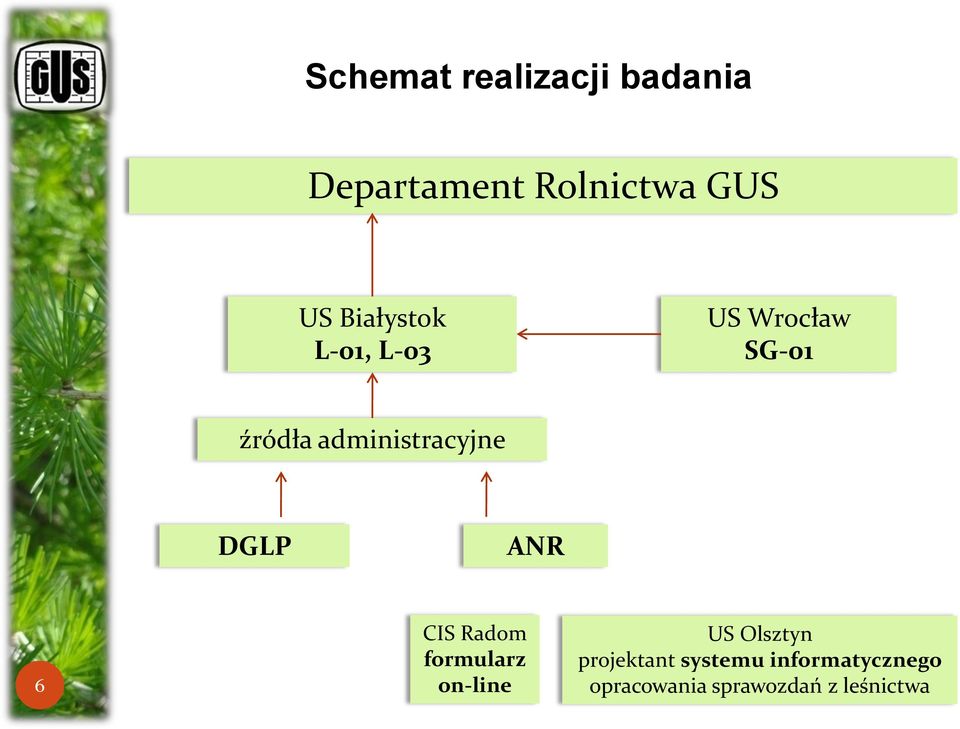 administracyjne DGLP ANR 6 CIS Radom formularz on-line US