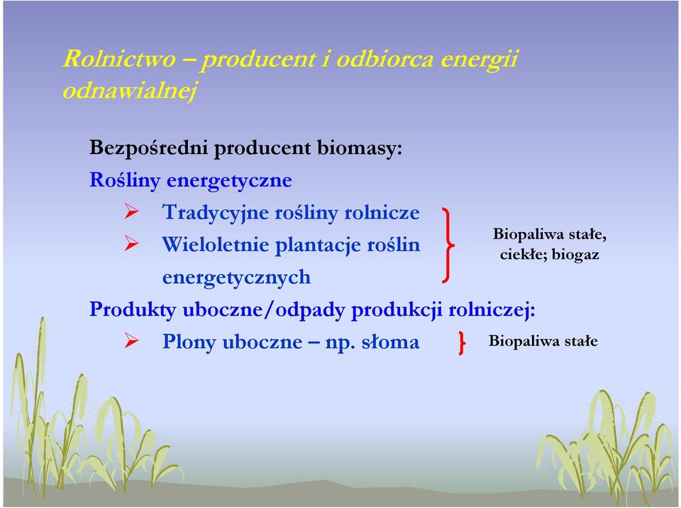 plantacje roślin energetycznych Produkty uboczne/odpady produkcji