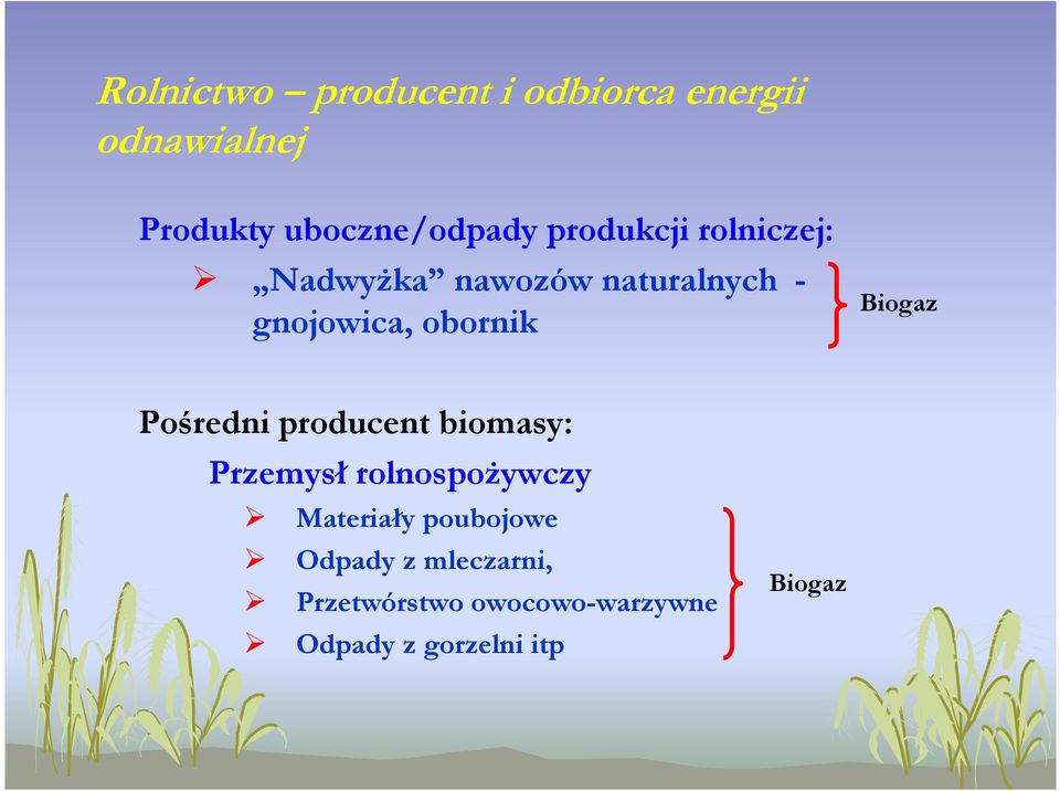 Biogaz Pośredni producent biomasy: Przemysł rolnospożywczy Materiały