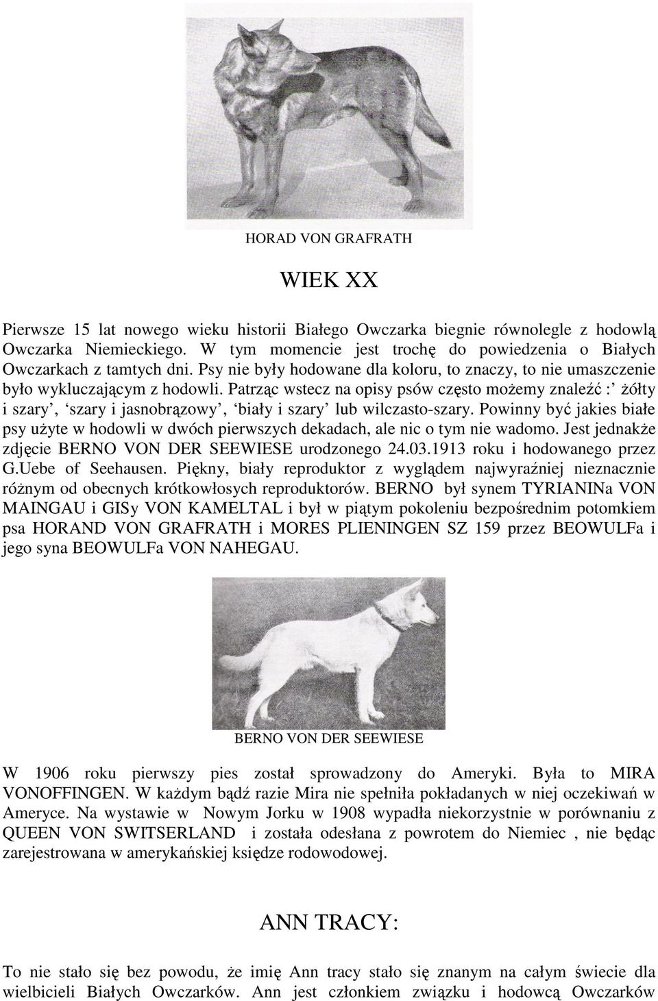 Patrząc wstecz na opisy psów często możemy znaleźć : żółty i szary, szary i jasnobrązowy, biały i szary lub wilczasto-szary.