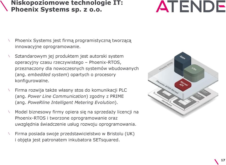 embedded system) opartych o procesory konfigurowalne. Firma rozwija także własny stos do komunikacji PLC (ang. Power Line Communication) zgodny z PRIME (ang.