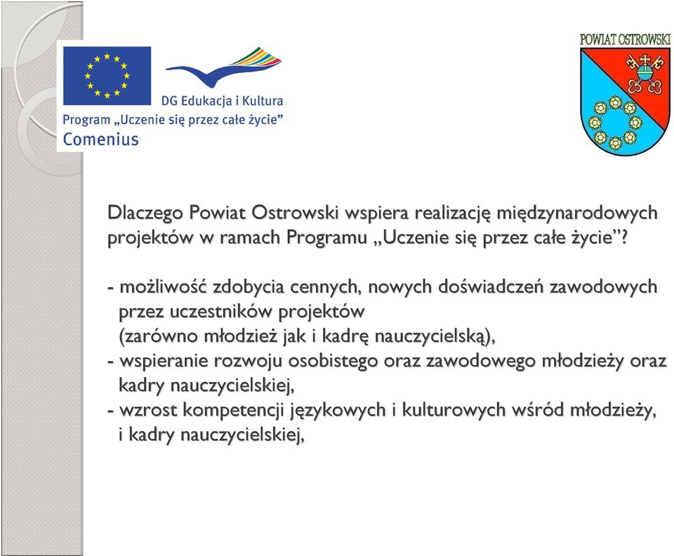 - możliwo liwość zdobycia cennych, nowych doświadcze wiadczeń zawodowych przez uczestników w projektów (zarówno