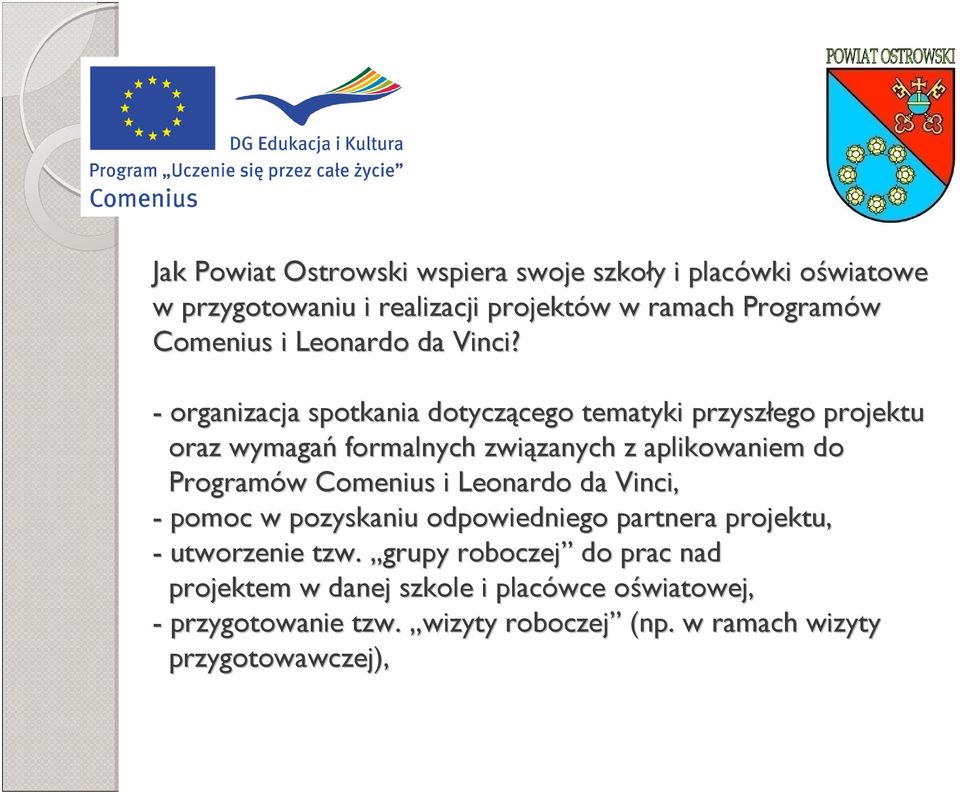 - organizacja spotkania dotyczącego cego tematyki przyszłego projektu oraz wymagań formalnych związanych zanych z aplikowaniem do