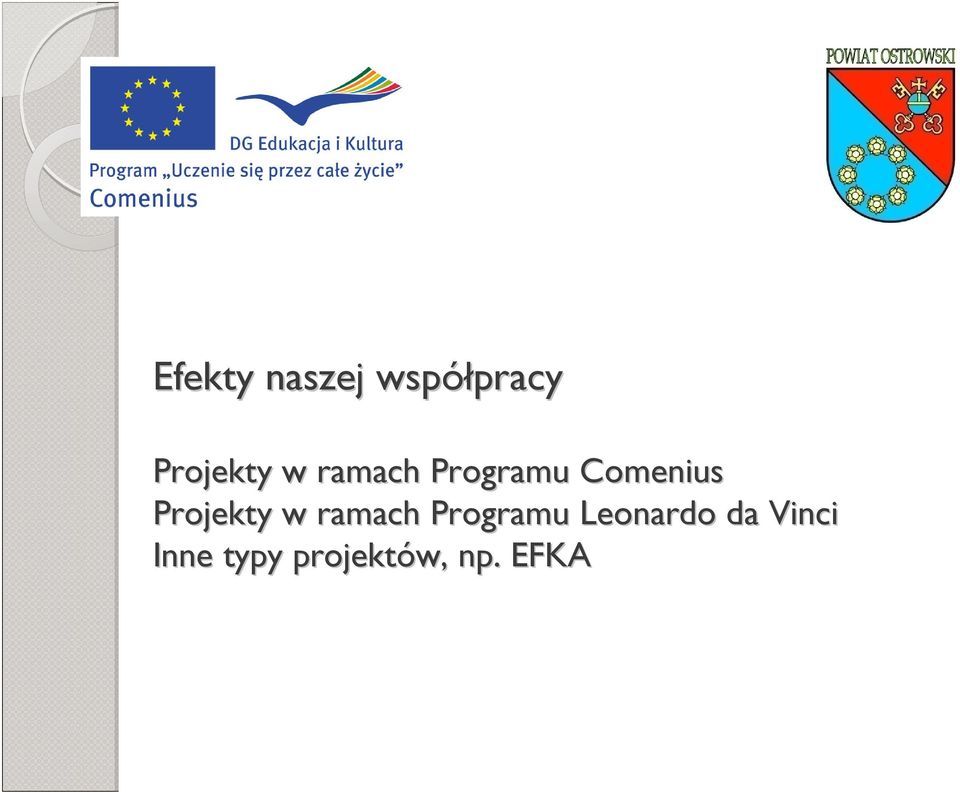 Projekty w ramach Programu Leonardo