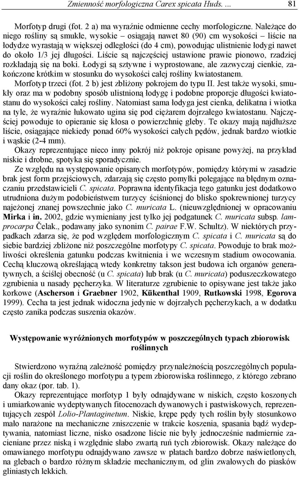 długości. Liście są najczęściej ustawione prawie pionowo, rzadziej rozkładają się na boki.