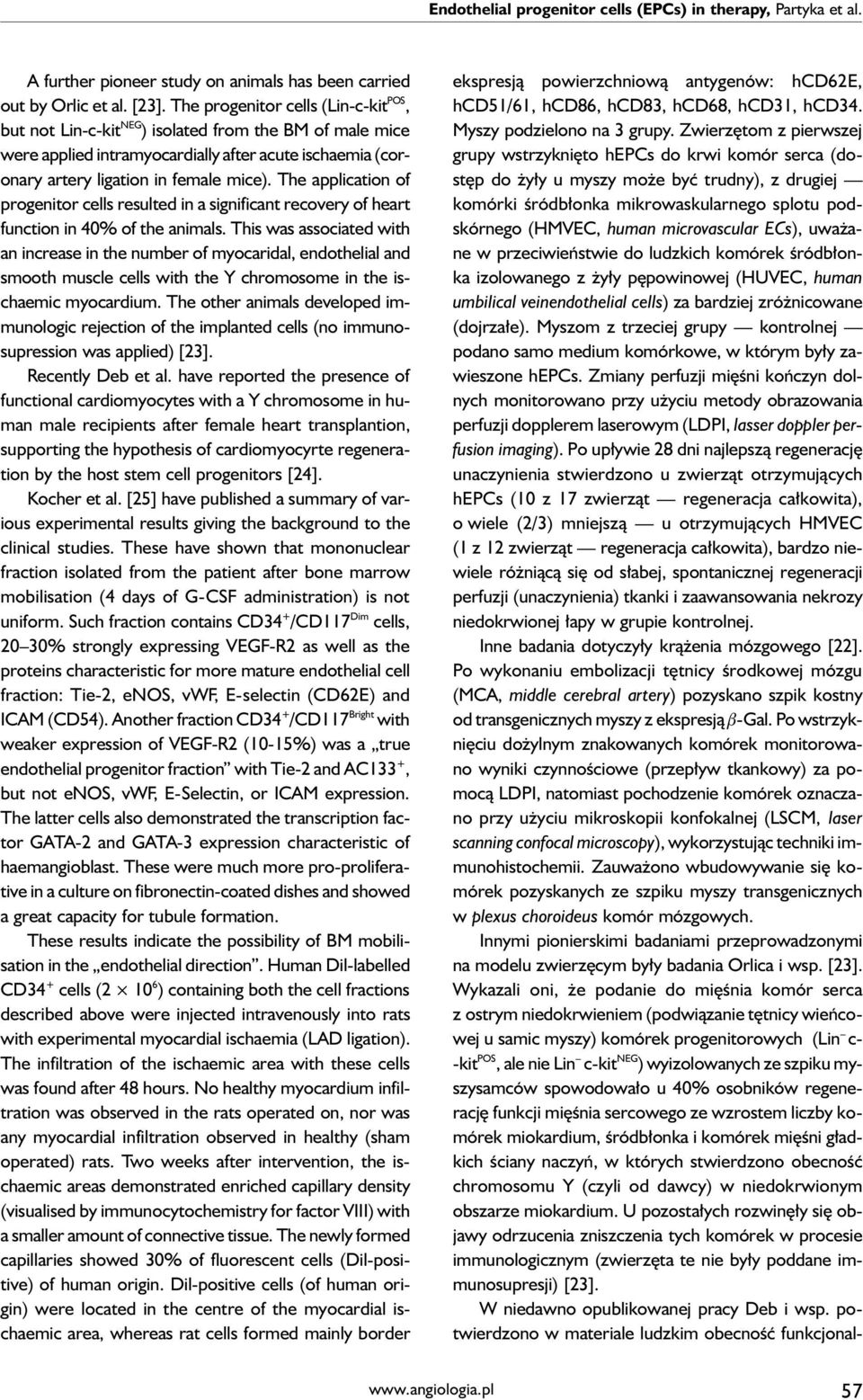 The application of progenitor cells resulted in a significant recovery of heart function in 40% of the animals.