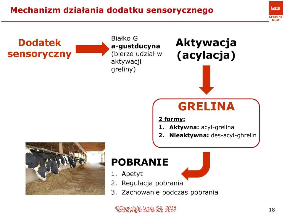 2 formy: 1. Aktywna: acyl-grelina 2. Nieaktywna: des-acyl-ghrelin POBRANIE 1.