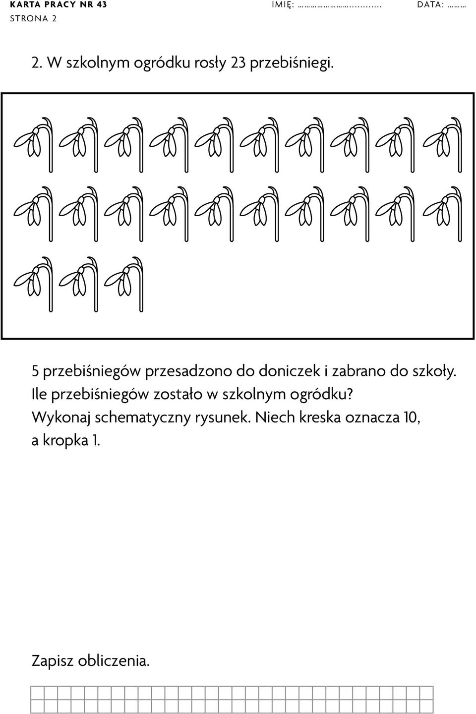 5 przebiśniegów przesadzono do doniczek i zabrano do szkoły.