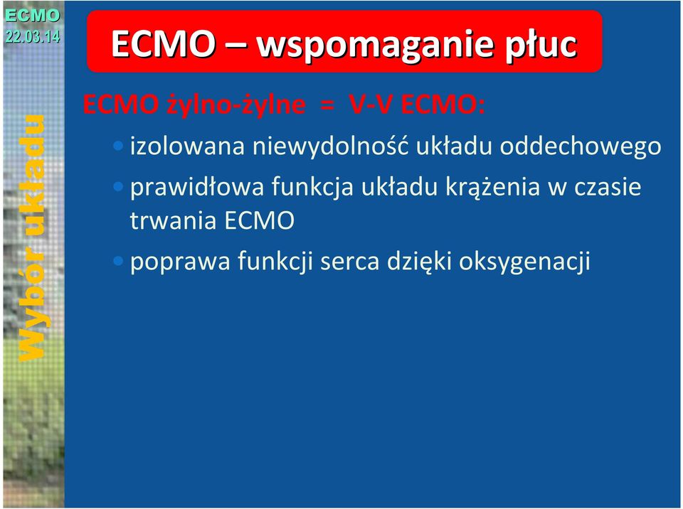 oddechowego prawidłowa funkcja układu krążenia w