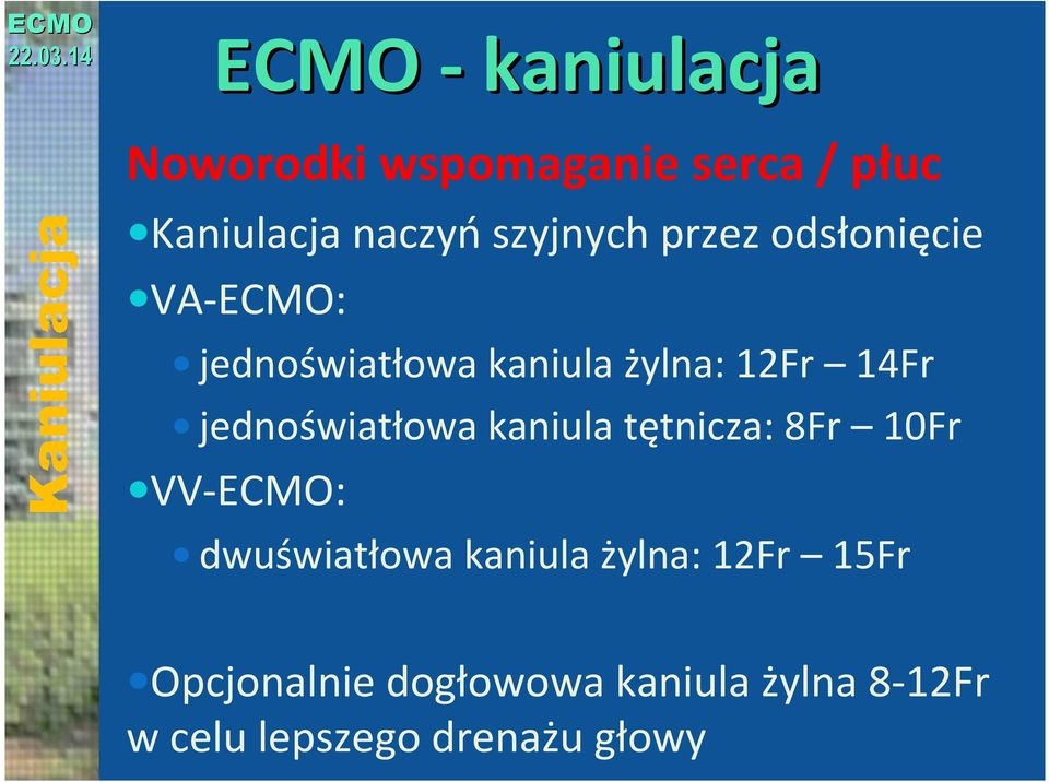 jednoświatłowa kaniula tętnicza: 8Fr 10Fr VV-ECMO: dwuświatłowa kaniula